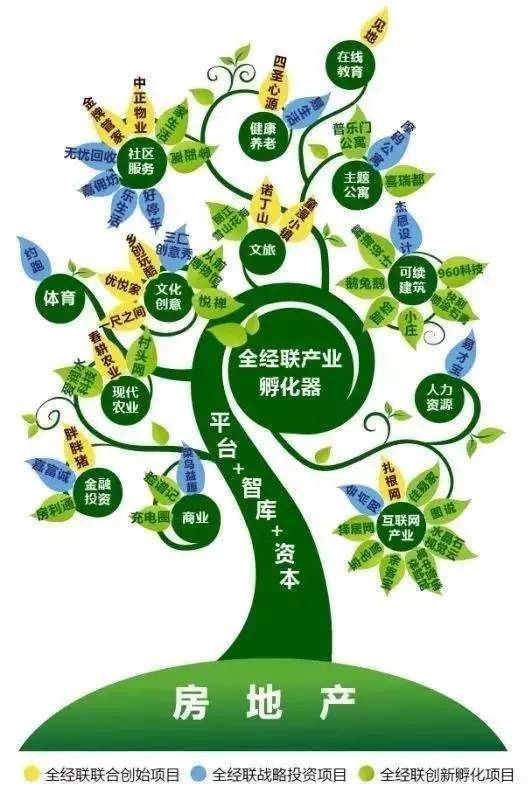 AUBL20:当亚洲校园篮球开始讲“长期主义”(图1)